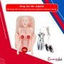 US Cool Woman Simulation Senso Pussy Vagina Small Doll SLD-008