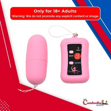 Remote Control Vibrating Egg BV-003