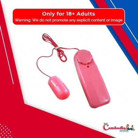 Bullet Vibrator 2 in 1 BV-008