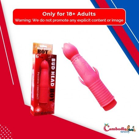 Bud Head Boy Fun Vibrator FV-001