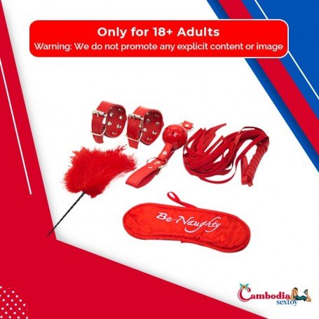 BDSM SEX KIT Bracelet+Whip+Goggles+Feather+Mouth Ball Gag BDSM-001