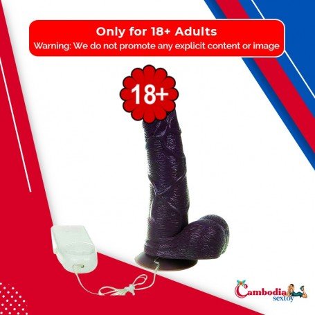 Mr. Realistic Vibrator V1 RSV-026